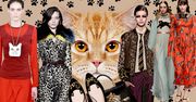 Trendy na jesień zimę 2016/2017: Cats