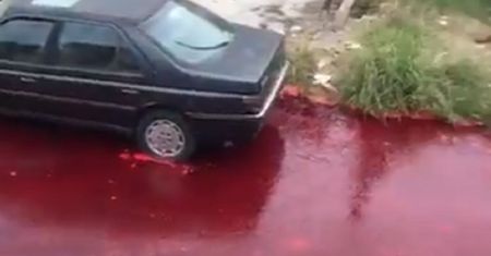 Argentyna. Wypadek w rzeźni w Buenos Aires. Ulice zalało "morze krwi"