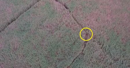 Dron znalazł mężczyznę, który utknął w błocie