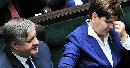 ASF.  Krzysztof Jurgiel chce koordynatora ds. afrykańskiego pomoru świń