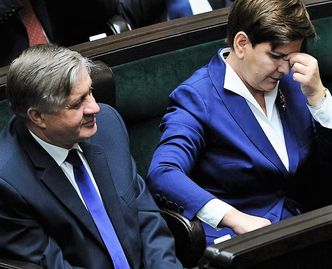 ASF.  Krzysztof Jurgiel chce koordynatora ds. afrykańskiego pomoru świń