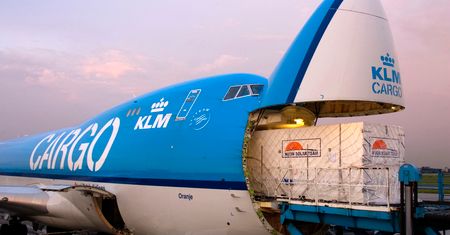 T-rex, Rolls-Royce, tygrysy i dzieła sztuki. Nie tylko zwykli pasażerowie latają samolotem