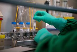 Koronawirus w Polsce. Sondaż: już prawie połowa Polaków obawia się, że ktoś z ich bliskich zakazi się SARS-CoV-2