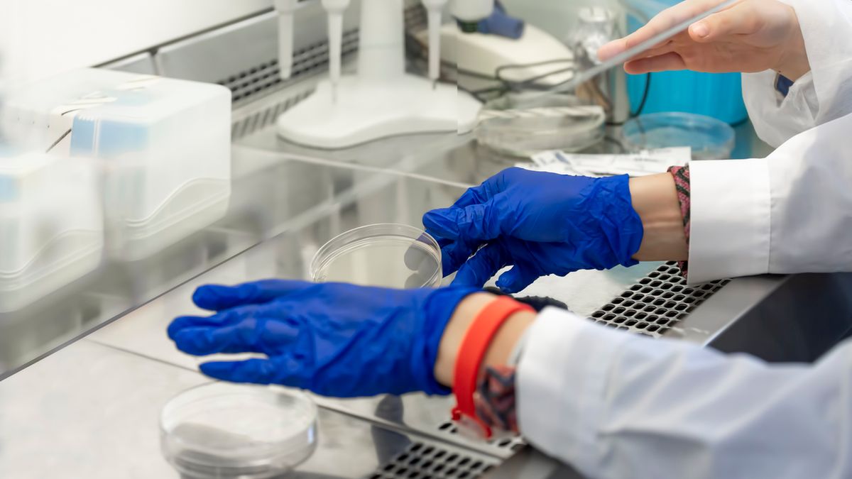 Co roku polskie uczelnie opuszcza ok. 4 tys. absolwentów kierunków biotechnologicznych.