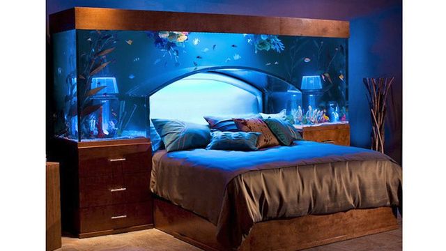 Aquarium Bed - łóżko z akwarium