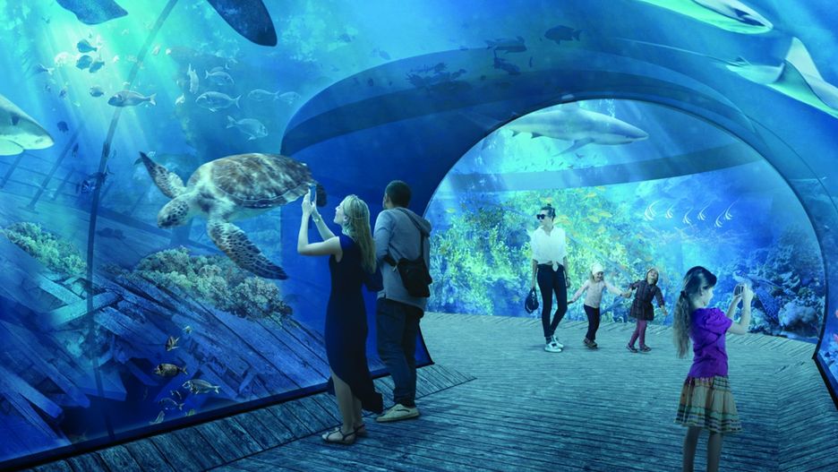 W oceanarium będzie można wybrać się w podróż w głębię oceanów Ameryki Południowej
