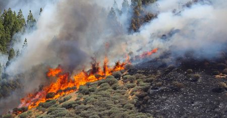 Gran Canaria. Masowe ewakuacje turystów na Wyspach Kanaryjskich