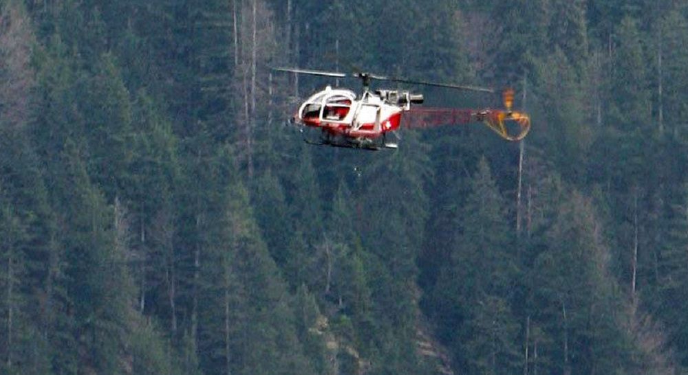 Tragedia w Alpach. 59-latkę zabiło spadające drzewo