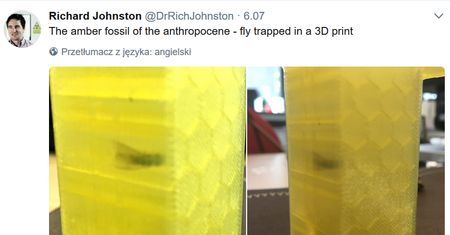 Skamieniałość na miarę XXI wieku. Powstała przez chwilę nieuwagi