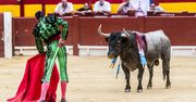 Korridy na Balearach bez przelewu krwi