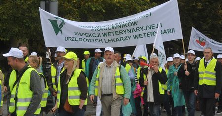 Protest w Inspekcji Weterynaryjnej przyniósł efekt. Podwyżki będą wypłacane od sierpnia