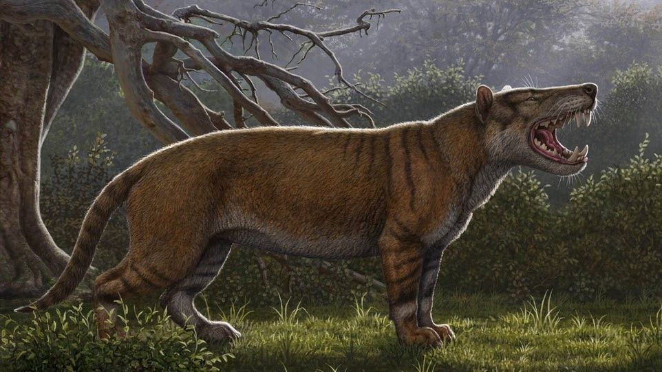 Simbakubwa kutokaafrika