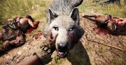 Far Cry: Primal pozwoli pojeździć na mamutach i pobawić się w skrytobójcę z zaprzyjaźnionym jaguarem - obejrzyjcie fragment rozgrywki