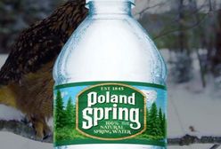 Afera wokół Poland Spring w Stanach Zjednoczonych. "To jedno wielkie oszustwo"