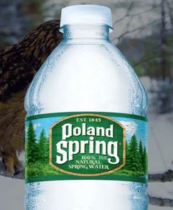 Afera wokół Poland Spring w Stanach Zjednoczonych. "To jedno wielkie oszustwo"