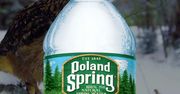 Afera wokół Poland Spring w Stanach Zjednoczonych. "To jedno wielkie oszustwo"