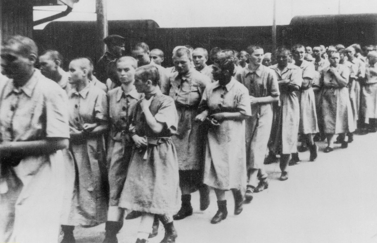 "Podróż Cilki". Fragment kontynuacji książki "Tatuażysta z Auschwitz"