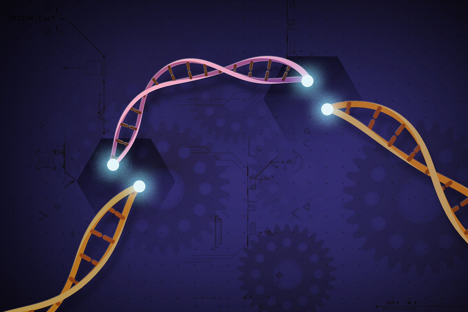 Technologia CRISPR/Cas9 - budzi obawy, rozpala wyobraźnię