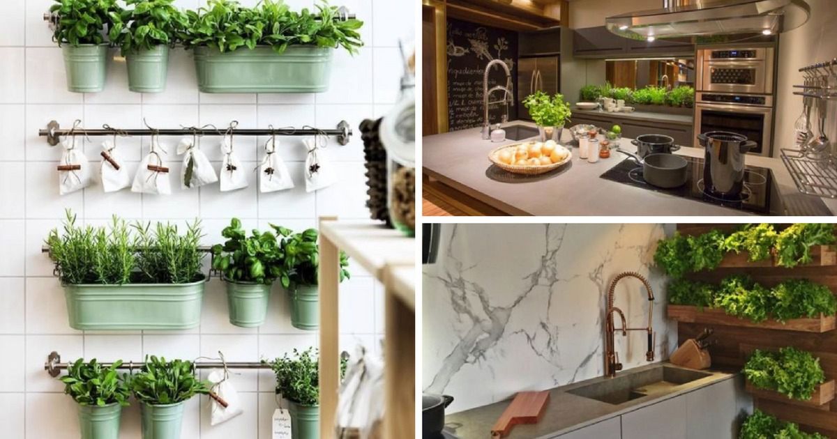 18 kreatywnych pomysłów na przechowywanie roślin w kuchni. Potężna dawka inspiracji już na Ciebie czeka