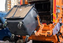 Makabryczne odkrycie w śmieciarce. Są wyniki sekcji zwłok