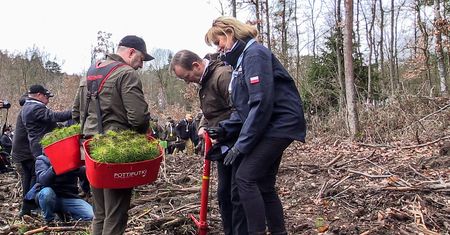 Ruszyła trzecia edycja akcji „Łączą nas Drzewa”