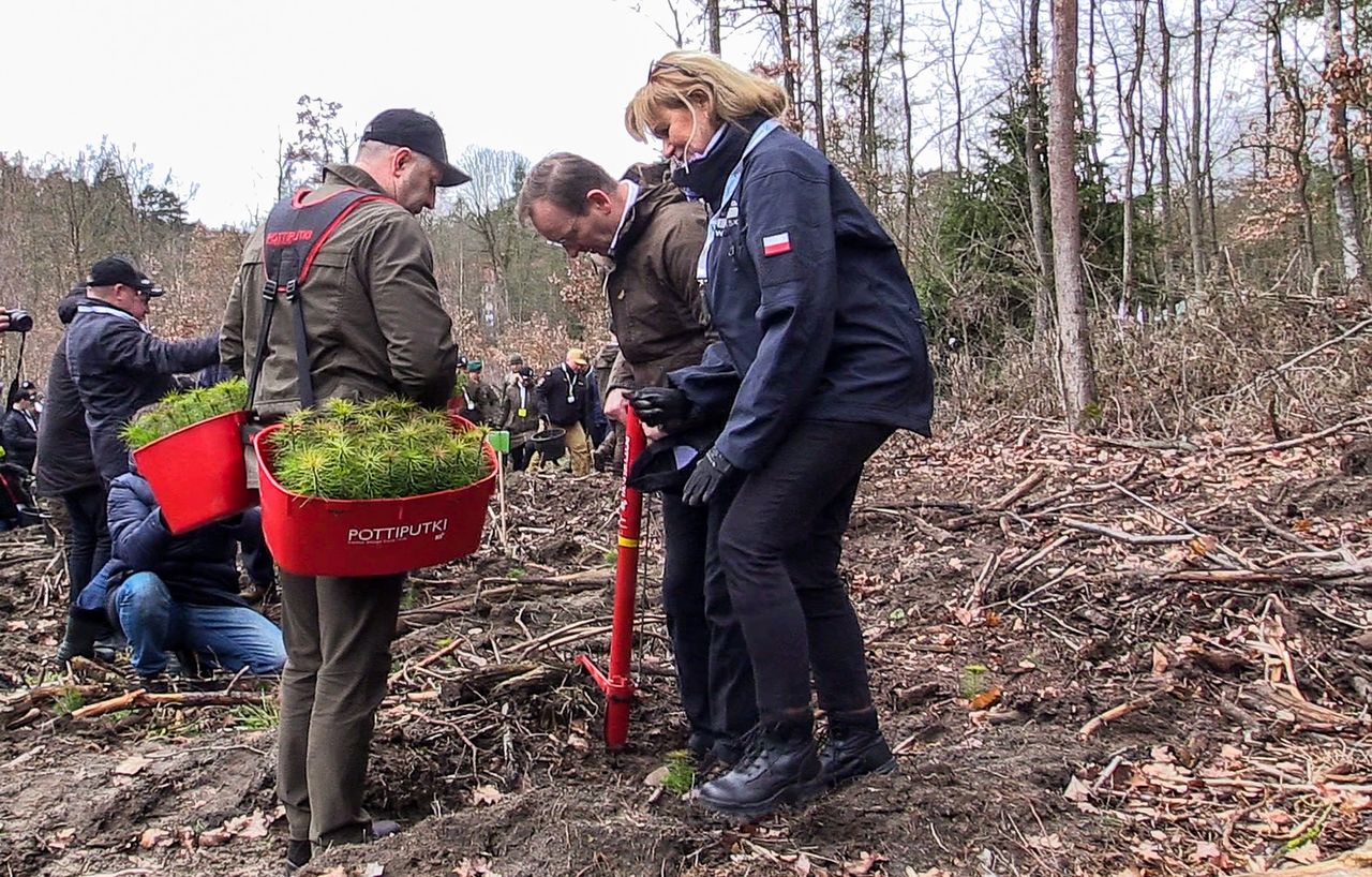 Ruszyła trzecia edycja akcji „Łączą nas Drzewa”