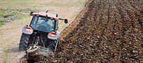 Słowacja wprowadzi ograniczenia obrotu ziemią rolniczą
