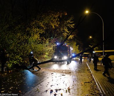 Tragiczne skutki orkanu. 8 osób nie żyje w Europie, utrudnienia i brak prądu w Polsce