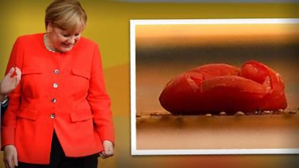 Angela Merkel zaatakowana podczas wiecu.