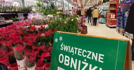Święta Rodzina z pudelkiem, czyli Boże Narodzenie w polskich hipermarketach