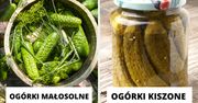 Kiszone czy małosolne - które ogórki są zdrowsze? Nie każdy wie, czym się różnią