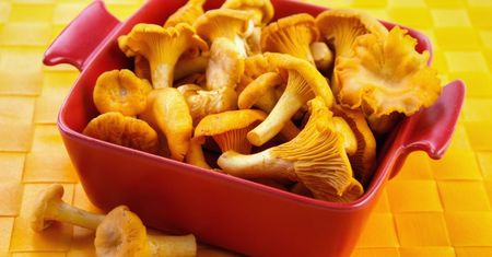 Cena kurek tuż przed sezonem jest o wiele wyższa niż w ubiegłym roku. Lepiej usiądź