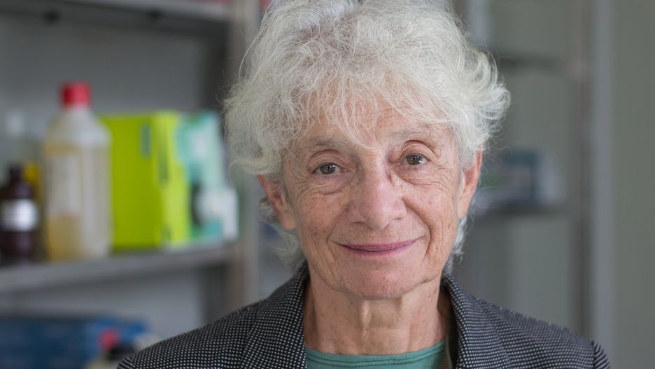 Profesor Eliane Gluckman