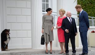 Meghan i Harry w Irlandii. Powitały ich urocze pupile pary prezydenckiej