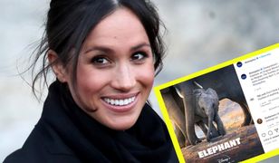 Meghan Markle "księżniczką" Disneya. Jest zwiastun filmu jej nowego filmu