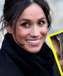 Meghan Markle "księżniczką" Disneya. Jest zwiastun filmu jej nowego filmu