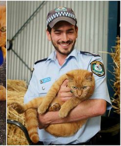 Ed - kot, który służy... w policji