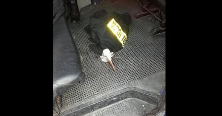 Policjanci uratowali rannego bociana. Został zawieziony do weterynarza w.... mundurze!