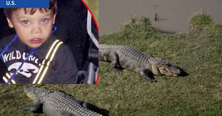 Wstrząsająca relacja ojca 2-latka zabitego przez aligatora