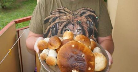 Piękną mamy jesień tego lata. Oto pierwsze grzyby w lipcu!