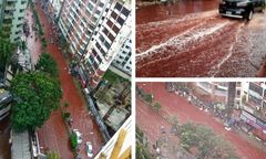 Muzułmańskie święto składania ofiar ze zwierząt sprawiło, że ulice miasta zalała rzeka krwi