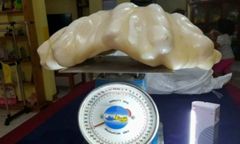 Rybak znalazł perłę wartą 100 mln dolarów i przez 10 lat trzymał ją w domu jako... talizman szczęścia