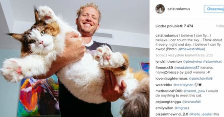 Poznajcie Samsona - najprawdopodobniej największego kota na świecie, który waży 13 kg i ma 130 cm długości