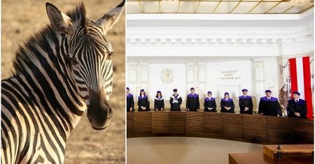 Trybunał Konstytucyjny w Austrii zgodził się na nietypowe nazwisko swojego obywatela