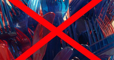 Plastikowe sztućce zabronione we Francji
