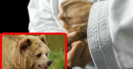 Znajomość karate uratowała go przed niedźwiedziem
