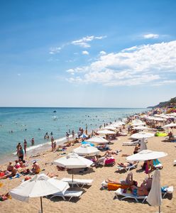 Najbardziej absurdalne reklamacje wczasów. Polacy skarżą się nawet na brak małp