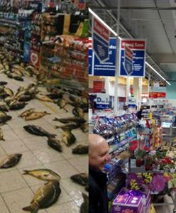 Żywe karpie na podłodze sklepu. Zdjęcie z Tesco wywołało lawinę oburzenia