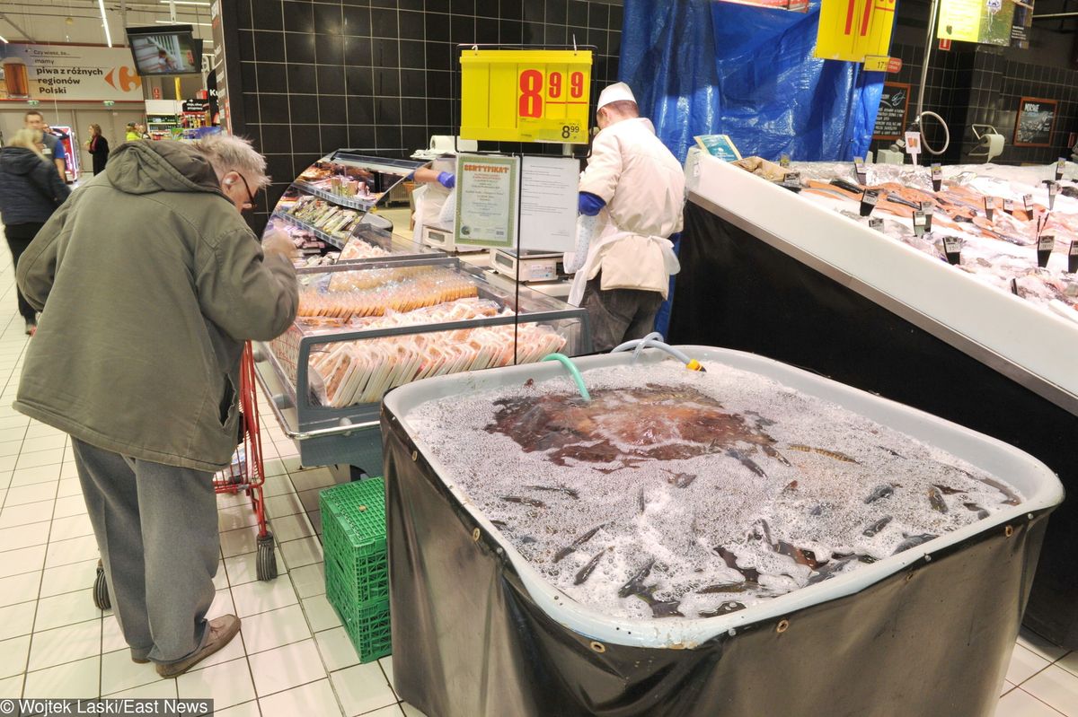 Żywe karpie znikają z kolejnych sieci supermarketów. Ale Kaufland i Carrefour mówią "nie" ekologom