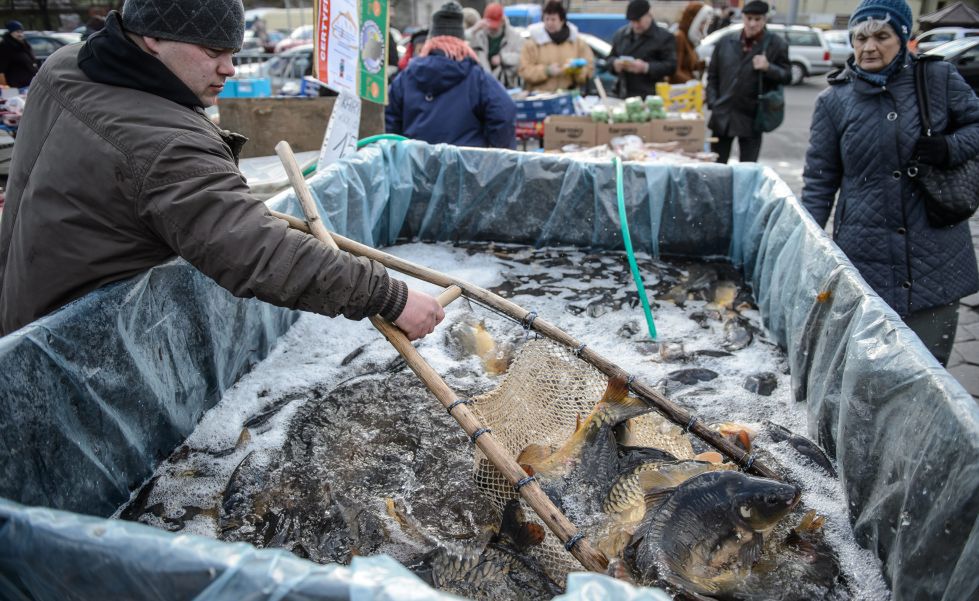 Za złe traktowanie karpia nawet 2 lata więzienia